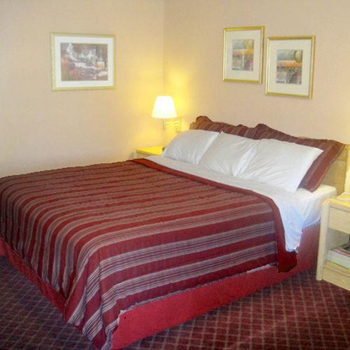Muir Lodge Motel Мартинес Номер фото